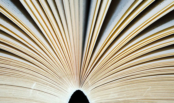 NORMATIVA Y PROCEDIMIENTO