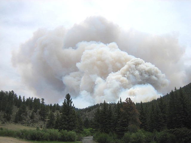  Gestión de incendios forestales en espacios naturales y evacuación de zonas turísticas.